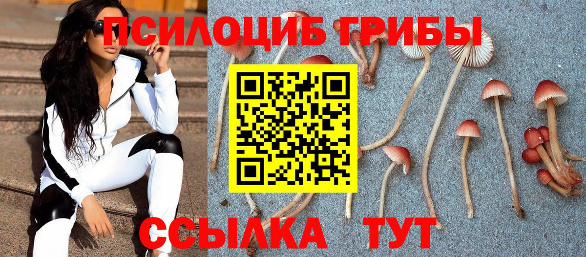 Галлюциногенные грибы мицелий  Вход с VPN  Алатырь 